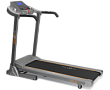 Беговая дорожка APPLEGATE T20 A